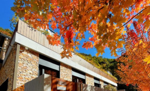 Shuiyunxiang Homestay