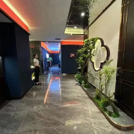 Vienna International Hotel (Chaling)