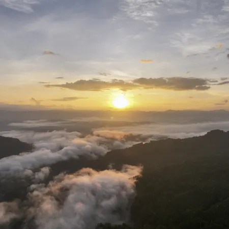 Leyin Mountain Residence Homestay