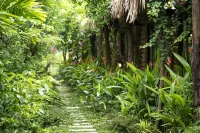 Tam Coc Oasis Resort & Spa - СПА