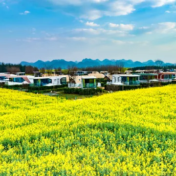 Luopingwei Light Star River Flower Sea Camp