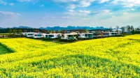 Luopingwei Light Star River Flower Sea Camp Hotels near Luoping Embankment