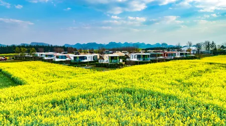 Luopingwei Light Star River Flower Sea Camp