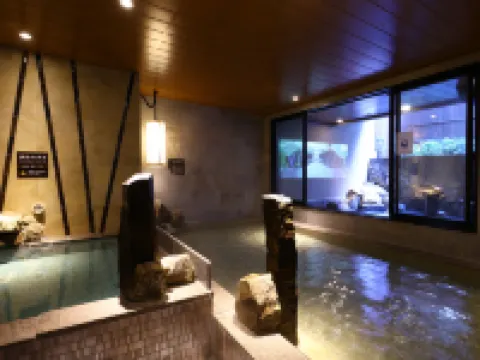 ドーミーインEXPRESS富士山御殿場 御殿場のホテル