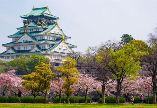 4. 토요코 인 오사..