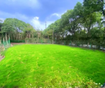 shanghai lan yue villa