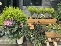 Guishi Hotel Hotels near Longtan River Scenic Area