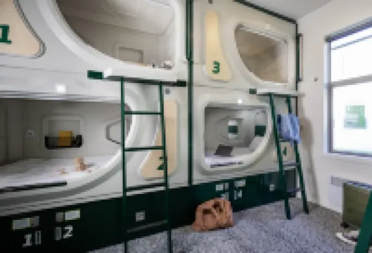 基督城Lylo酒店, EVT旗下 基督城酒店