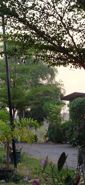 รูปภาพของเช็คอินรีสอร์ท ชัยนาท