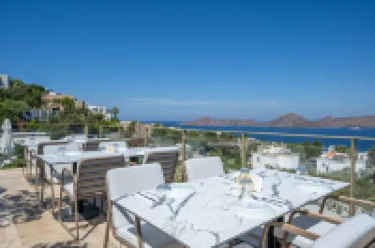 สเปคตร์ บูทีคโรงแรม ยาลิคาวัค