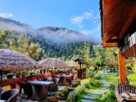 Shunan Bamboo Sea Pinecui·Bieyuan Homestay Hotels in Changning