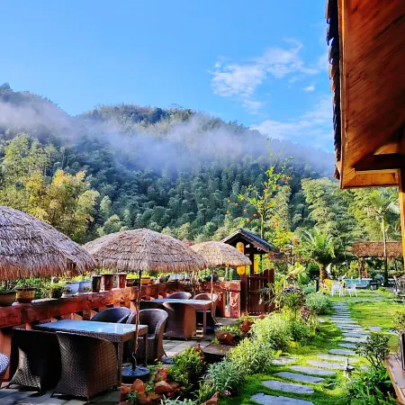 Shunan Bamboo Sea Pinecui·Bieyuan Homestay
