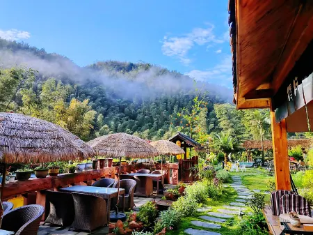 Shunan Bamboo Sea Pinecui·Bieyuan Homestay