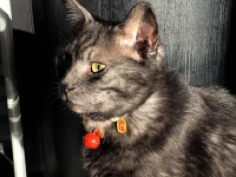 Dunhuang Zhongzhou International Hotel Hotels in Dunhuang