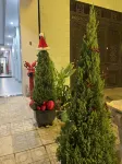 Vuon Cam Hotel Cao Bang - Mountain view