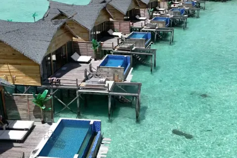 Jelly Sea Resort
