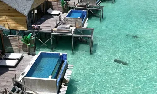 Jelly Sea Resort