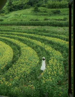 Qiyi · Bieyuan Ancient Rhyme Listening Sensation Forest Oxygen | Qingpu Xiaoyuan Hotels near Nanzhao Culture Square