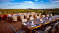 The Lost Camel Hotel