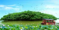 フェニックスホテル 江門新会碧桂園（万達広場） - 絶景