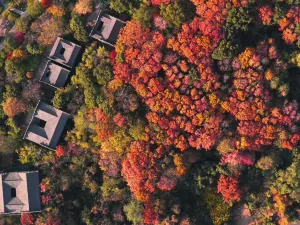 蠡山沄居湯泉度假村