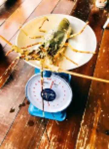 Vera Lavu Water Villa (24-Hour Chinese Housekeeper Service & Unlimited Snorkeling)