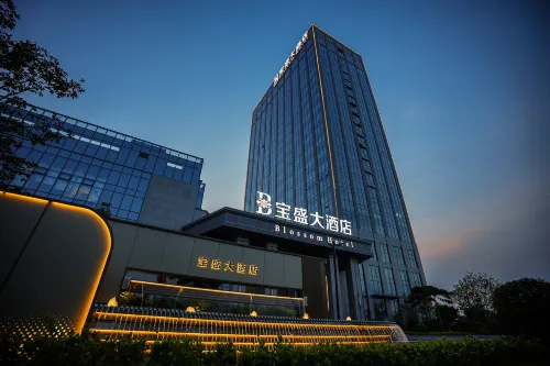 Ningyang Blossom Grand Hotel - parkir