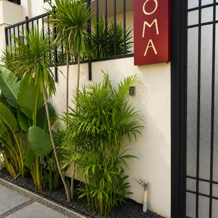 Noma New Cairo