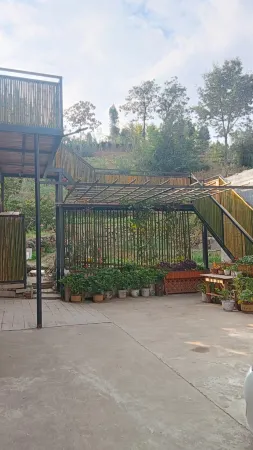 Laojunshan Yanqi Bieyuan Homestay Отели рядом с достопримечательностью «Yangzi Valley»