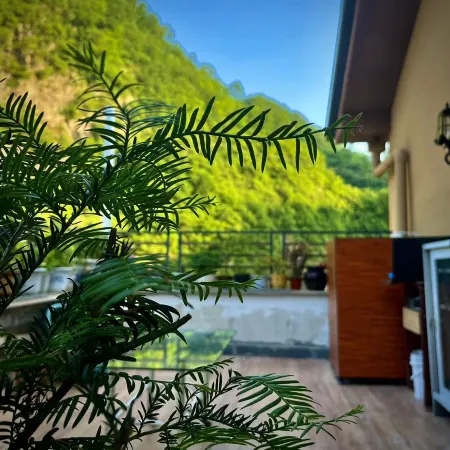 Shanshe Xiaoyuan Homestay