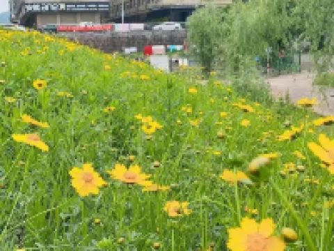 Shiguang Hanshe Hotel (Yiwu Railway Station Airport Branch) Hotels near Liuqing Night Market