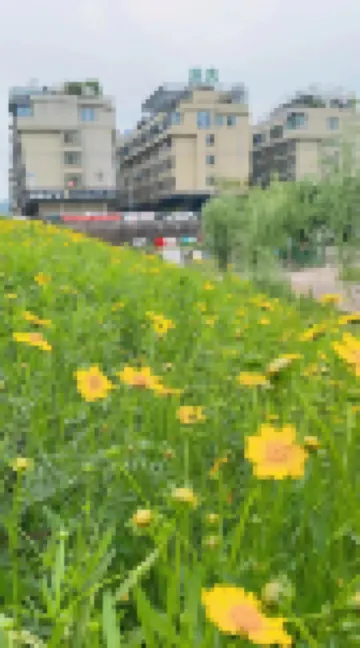 拾光·涵舍酒店（義烏火車站機場店） 鄰近柳青夜市的酒店