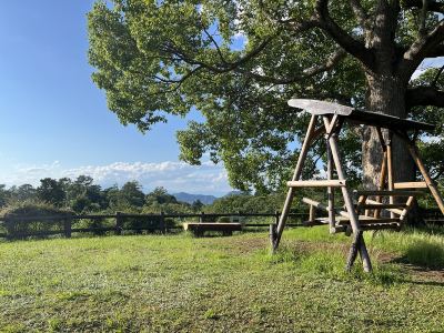 その他 ホテルラフォーレ修善寺の写真