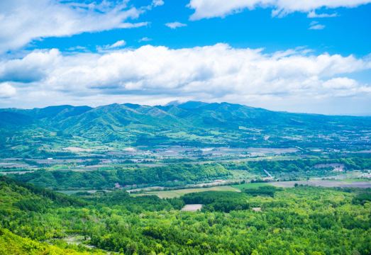 아덱스 인 트윈룸