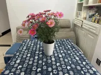 Yueke Renjia Homestay - Homestays