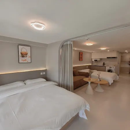 Wuhan Xilai Light Luxury Homestay (Xujiapeng Metro Station Branch)
