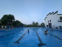 Forest Hot Springs Hotel - Swimmingpools