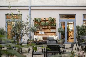 ماينيكست - هوتل رودي