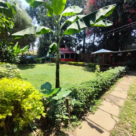 Red Buffalo House Hotel