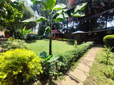 Red Buffalo House Hotel Отели рядом с достопримечательностью «Джирафф Сентр»