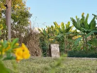 Tung Homestay and View ในเมืองน่าน โรงแรมใกล้Farm Hi Nan ฟาร์มไฮ่น่าน