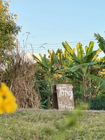 รูปภาพของTung Homestay and View ในเมืองน่าน