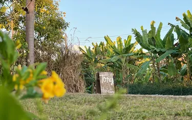 รูปภาพของTung Homestay and View ในเมืองน่าน
