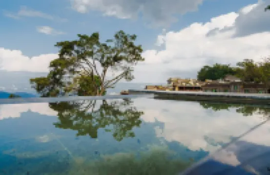 Dayu Cang 24 Tea Sea Cloud Retreat (Lancang Jingmai Mountain Ancient Tree Tea Forest Branch)