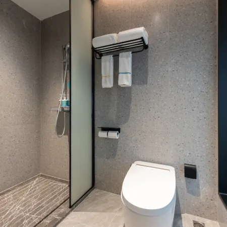 City Comfort Inn Hotel (Hengyang Changning City Government)