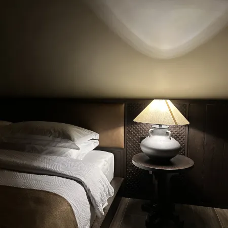 Xinyu Mountain Residence Homestay