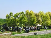 Banshan  Hot Spring Hotel (Luoyang Longmen High-Speed Railway Station Branch) - con vistas a la montaña