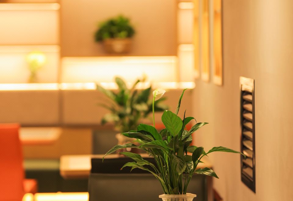 진쥐 부티크 호텔 (하얼빈 하시 완다 플라자) 위치