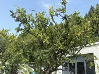 Moshang Forest MoriZen | Lingquan Hot Spring Pool ・ Bar ・ Barbecue ・ Zen Healing Designer Villa