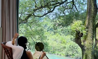 Xiangyu · Old Camphor Tree Homestay
